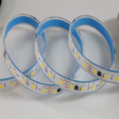 magic warm white color of led strip