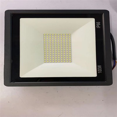 100W EK Floodlight