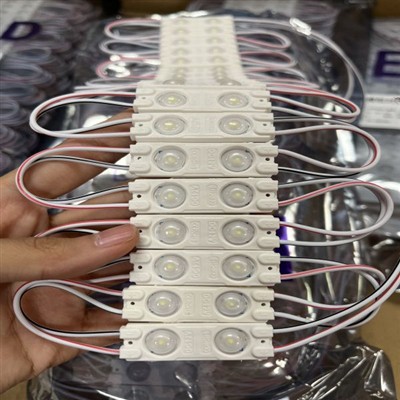 2-light Waterproof LED Module