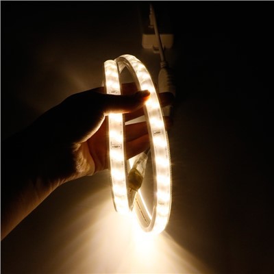 220V 2835 Double-row Lamp Bead LED Light Strip