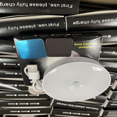 LED emergency light sensor light