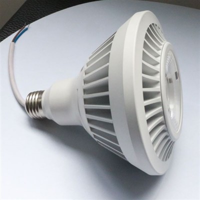 PAR38 Led Spot Lights