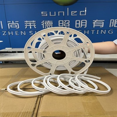 LED Outdoor Neon Decorative Light Strips