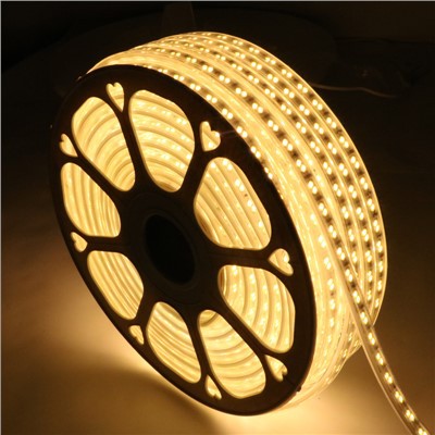 High Voltage 5730 LED Flexible Light Strip