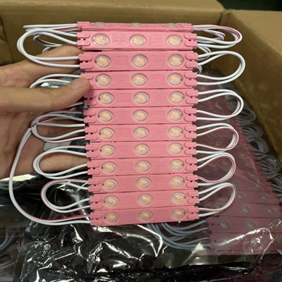 Pink Light Low Voltage Module
