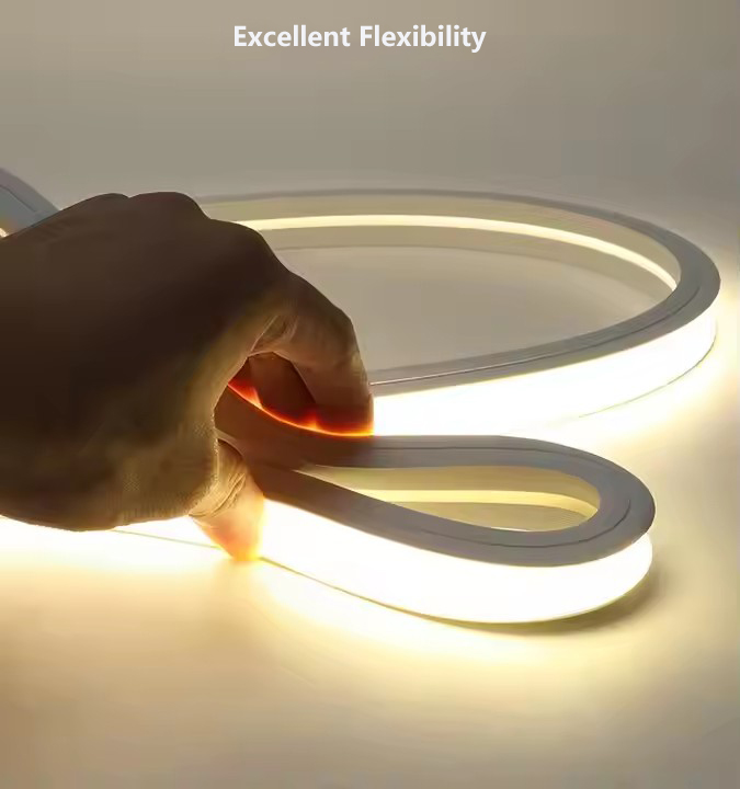 Neon Lights Strip 24V.jpg