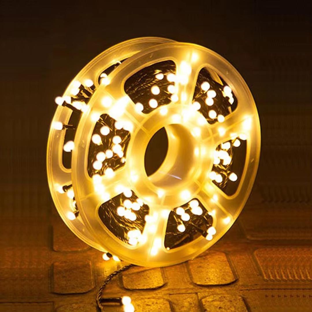 led christmas light.jpg