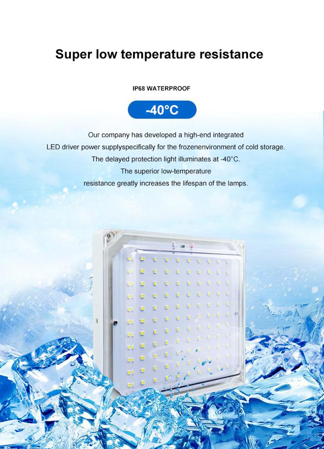 LED Cold Storage Light.jpg