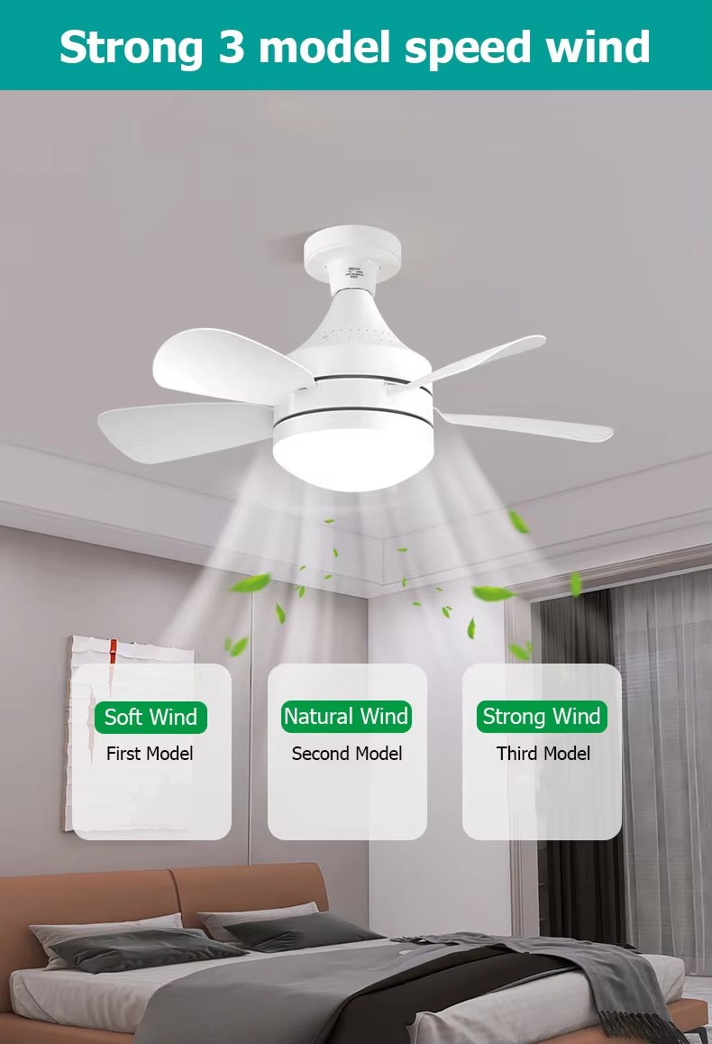 ceiling fan light kit.jpg
