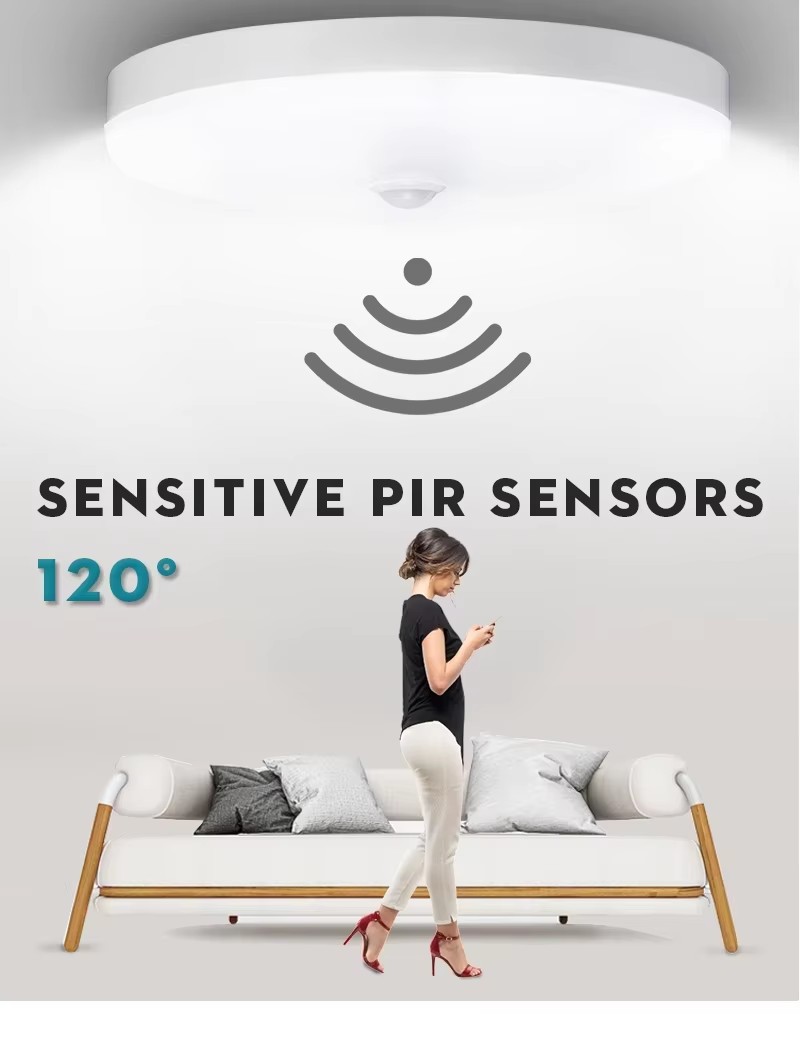 UFO LED Ceiling Light.jpg